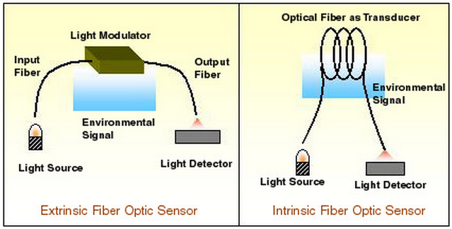 Extrinsic Fiber Optic Sensor and Intrinsic Fiber Optic Sensor