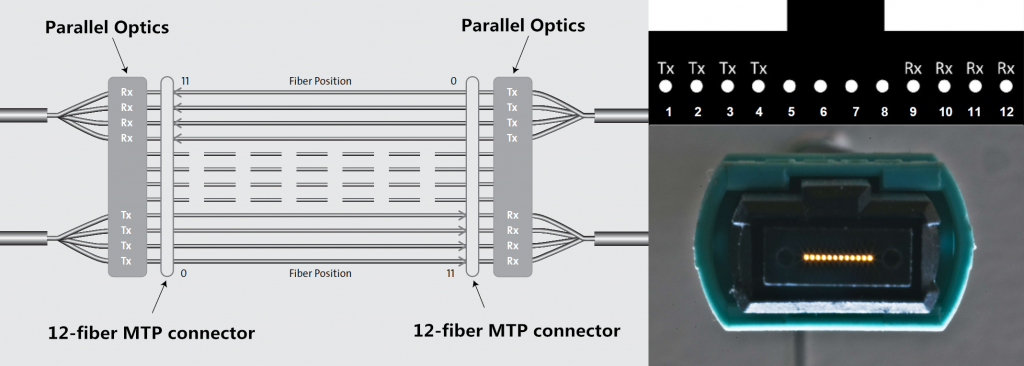 12-fiber-MTP-parallel-connection
